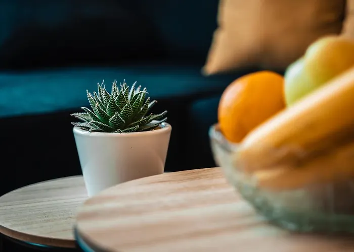 Apartament Location,sea ​​view And Luxury In Symphony